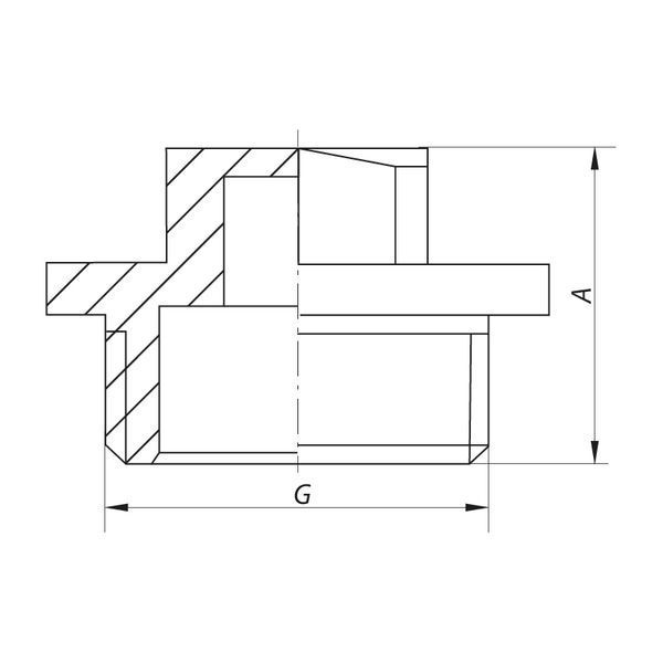 Заглушка Koer KF.P10M.WN - 1'' Н (без нікелю) (KR3101) KR3101 фото